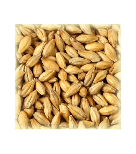 macerazioni e distillazioni casalinghe