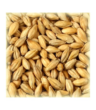 macerazioni e distillazioni casalinghe