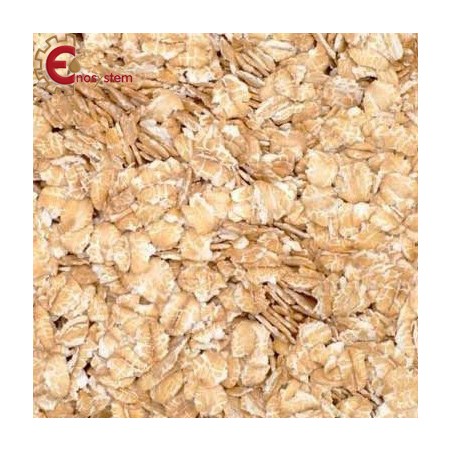 Malto per birra artigianale acquisto e vendita on line