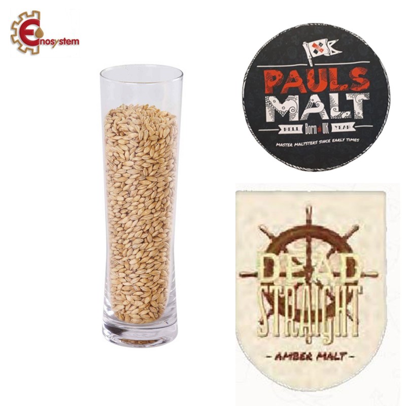 Amber inglese Pauls kg. 5