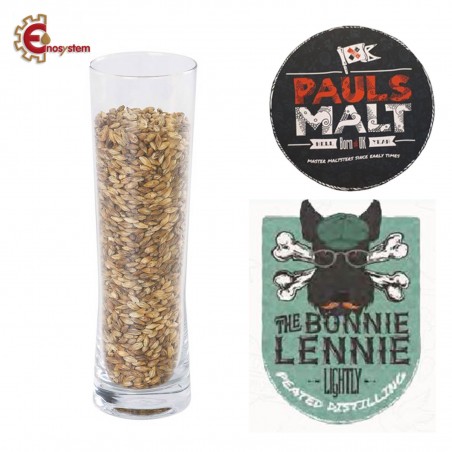 Malto per birra artigianale acquisto e vendita on line