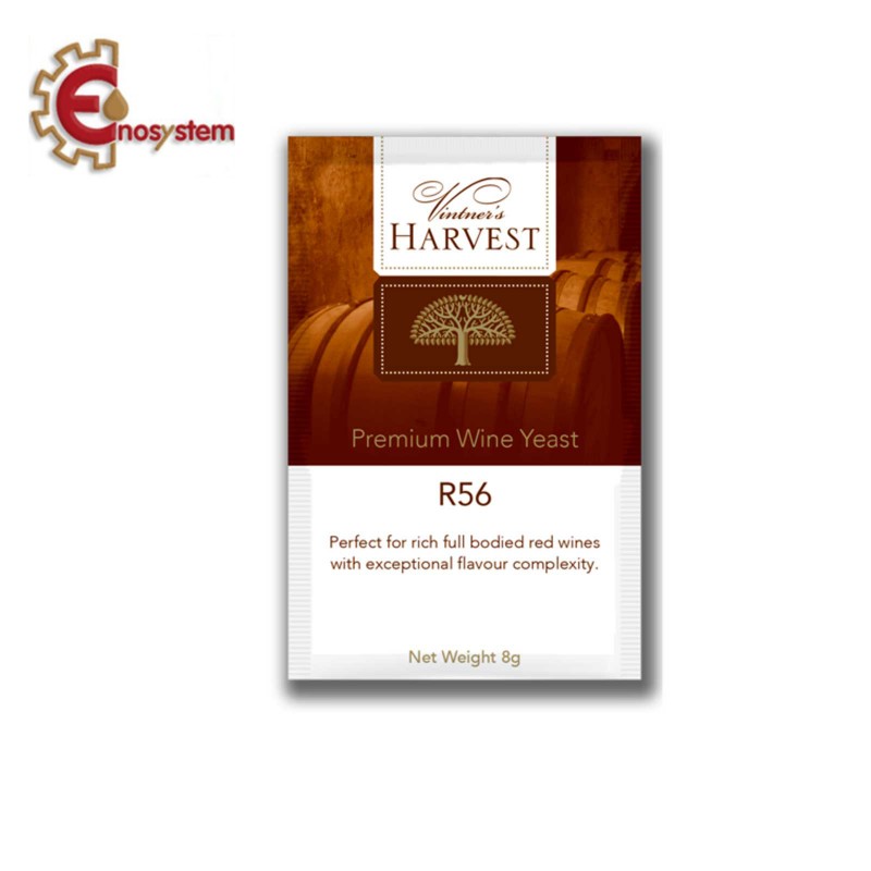Lievito Vintner's R56 gr 8