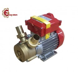 Pompe alimentari Rover acquisto e vendita on line