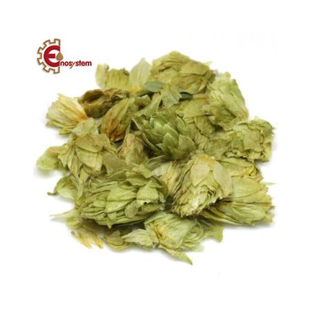 Luppoli per birra artigianale acquisto e vendita on line