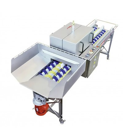 lavorazione frutta e verdura