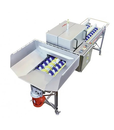 lavorazione frutta e verdura