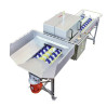 Spazzolatrice per lavare frutta 2000 kg/h Spazzolatrice per lavare frutta 2000 kg/h