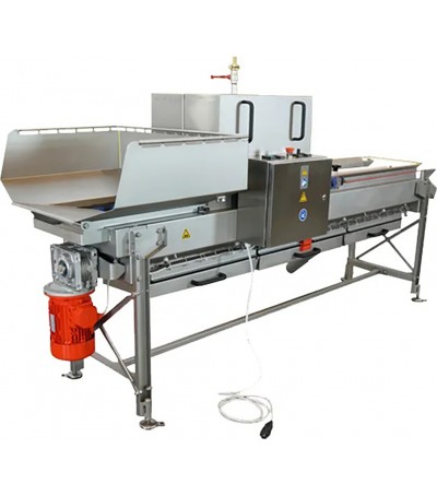 Spazzolatrice per lavare frutta 2000 kg/h