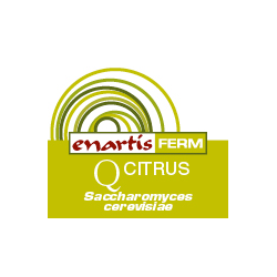 Controllo e correzione vino mosto acquisto e vendita on line ingredienti aggiuntivi