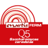 ENARTIS FERM Q5 500 Gr. ENARTIS FERM Q5 500 Gr.