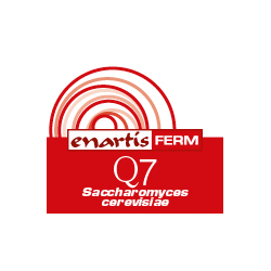 Controllo e correzione vino mosto acquisto e vendita on line