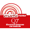 ENARTIS FERM Q7 500 Gr. ENARTIS FERM Q7 500 Gr.