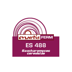 Ingredienti aggiuntivi per vino acquisto e vendita on line