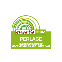 Ingredienti aggiuntivi per vino acquisto e vendita on line