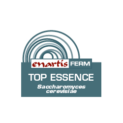 Ingredienti aggiuntivi per vino acquisto e vendita on line