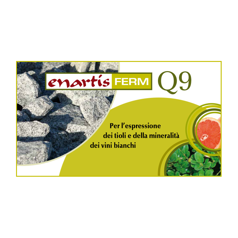 ENARTIS FERM Q9 500 Gr