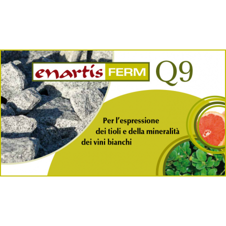 Controllo e correzione vino mosto acquisto e vendita on line