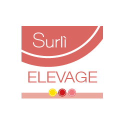 Ingredienti aggiuntivi per vino acquisto e vendita on line