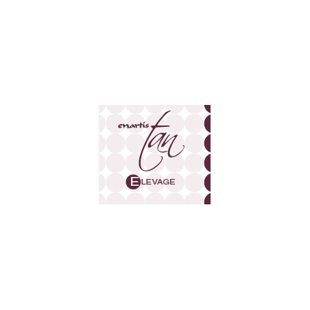 Controllo e correzione vino mosto acquisto e vendita on line