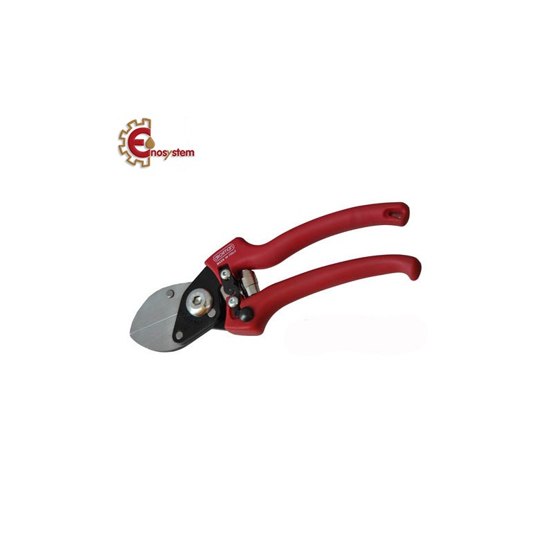 Forbice a doppio taglio Forbice a doppio taglio