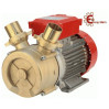 Elettropompa BE-M 50 bisenso Rover