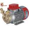 Elettropompa 25-12 V MARINA bisenso Rover