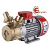 Elettropompa 30-12 V MARINA bisenso Rover