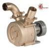 Elettropompa N 50 bisenso Rover Elettropompa N 50 bisenso Rover