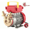 Elettropompa Rover 20 bisenso Elettropompa Rover 20 bisenso