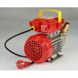 Elettropompa Rover 30 bisenso