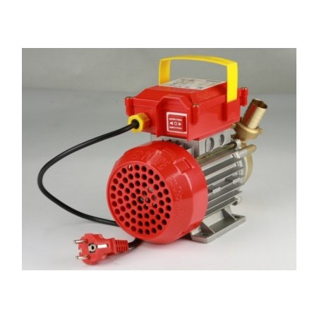 Pompa BE-G 20 HP 0.6 ad Ingranaggi Rover