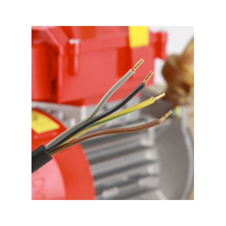 Elettropompa T 40 Novax Rover