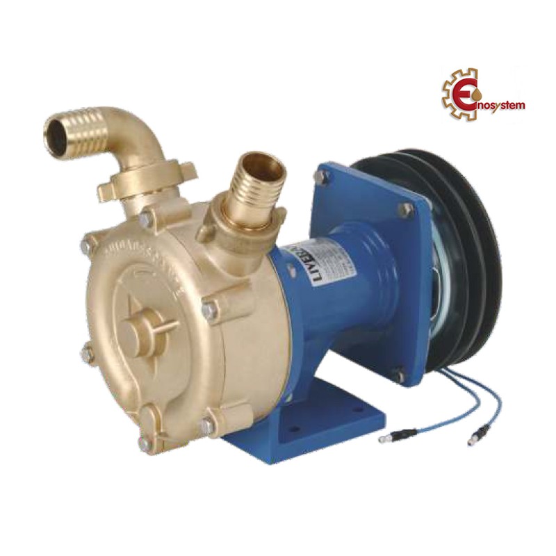 Special 30 FM con Frizione Magnetica 12 Volt Special 30 FM con Frizione Magnetica 12 Volt