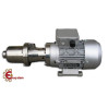 POMPA MINI PH30 CON MOTORE 0,55KW 4P IE4 TRIFASE CON INVERTER INTEGRATO DGM IP66 TRIFASE 10 – 2000 GIRI/MIN (2 – 42 hl/h)