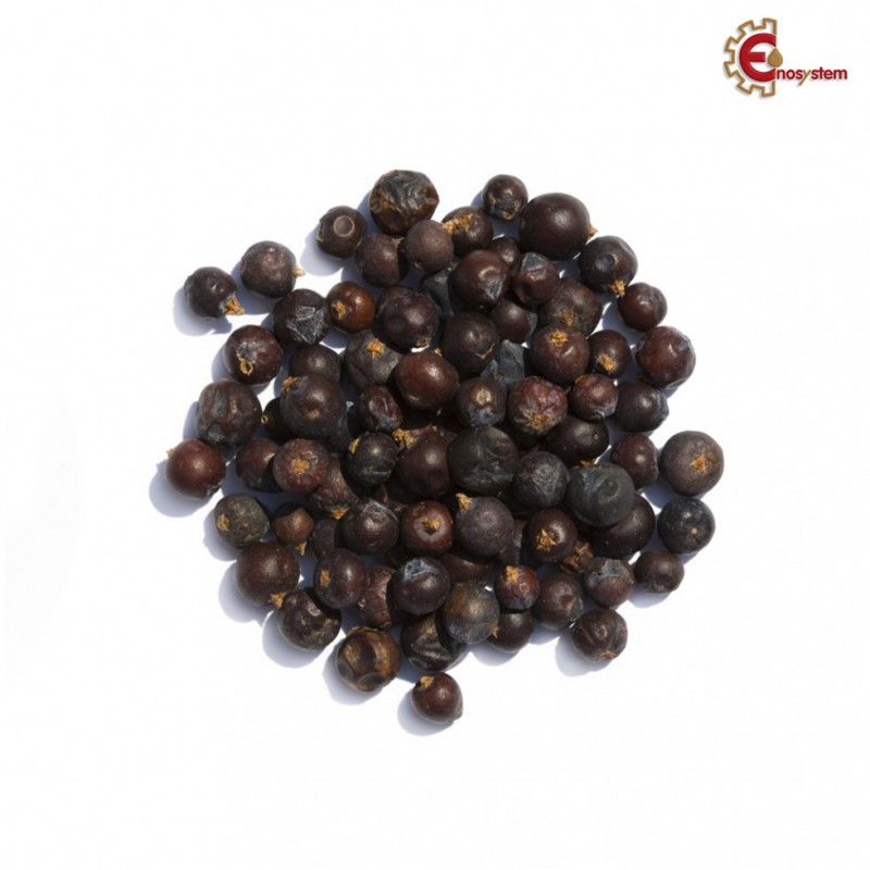 Bacche di Ginepro essiccate 250 gr Bacche di Ginepro essiccate 250 gr