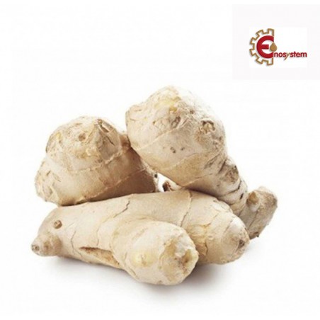 aromatizzanti birra artigianale acquisto e vendita on line