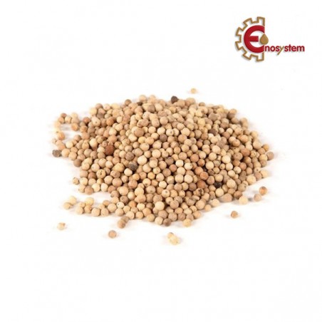 aromatizzanti birra artigianale acquisto e vendita on line